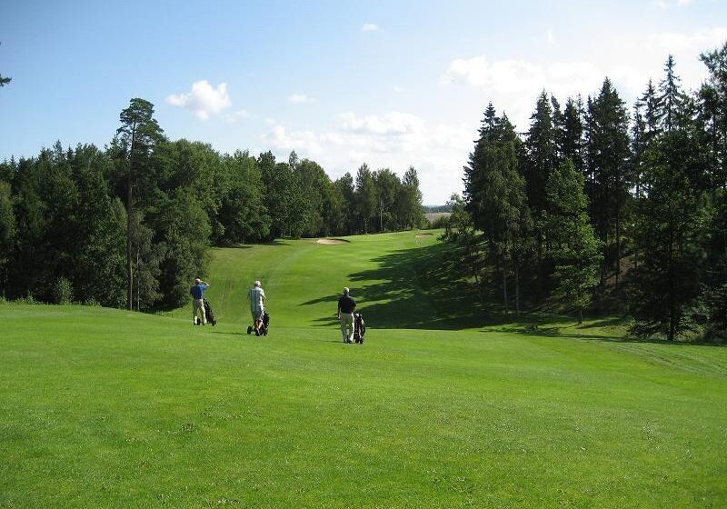 11fairway